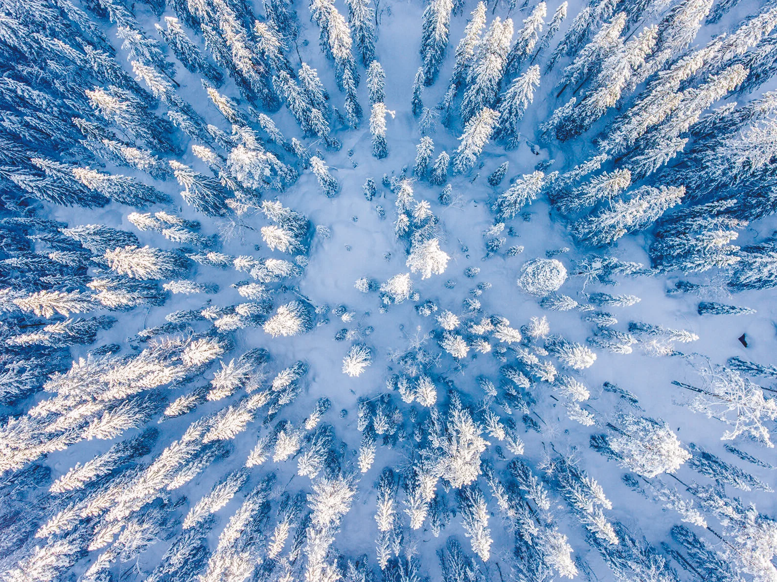 snow.jpg