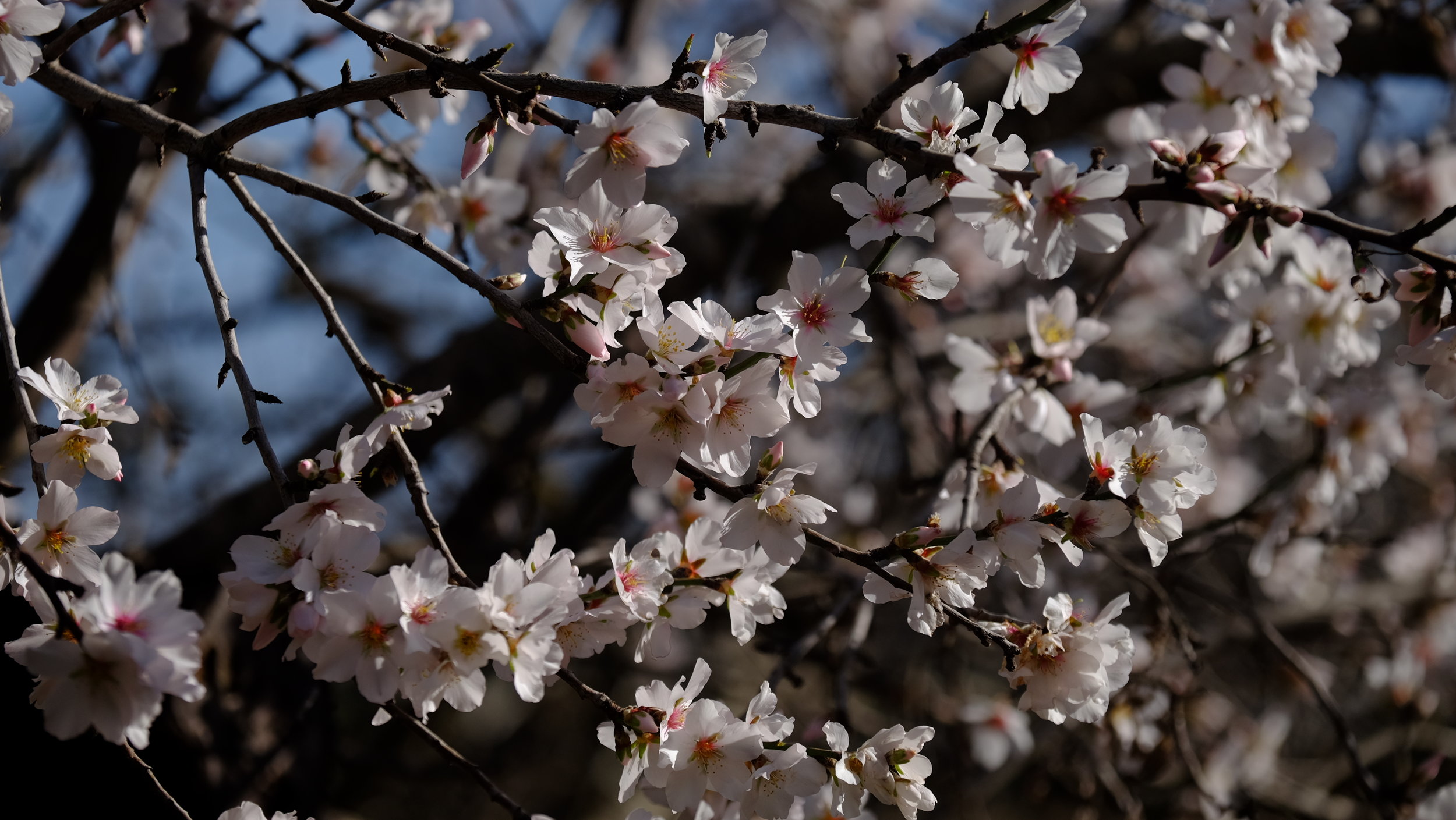 DSCF3058.JPG