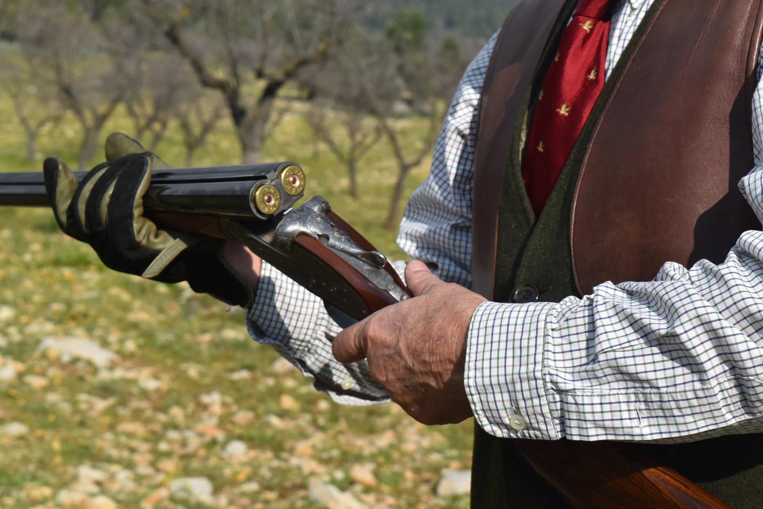 Partridge Shooting.JPG