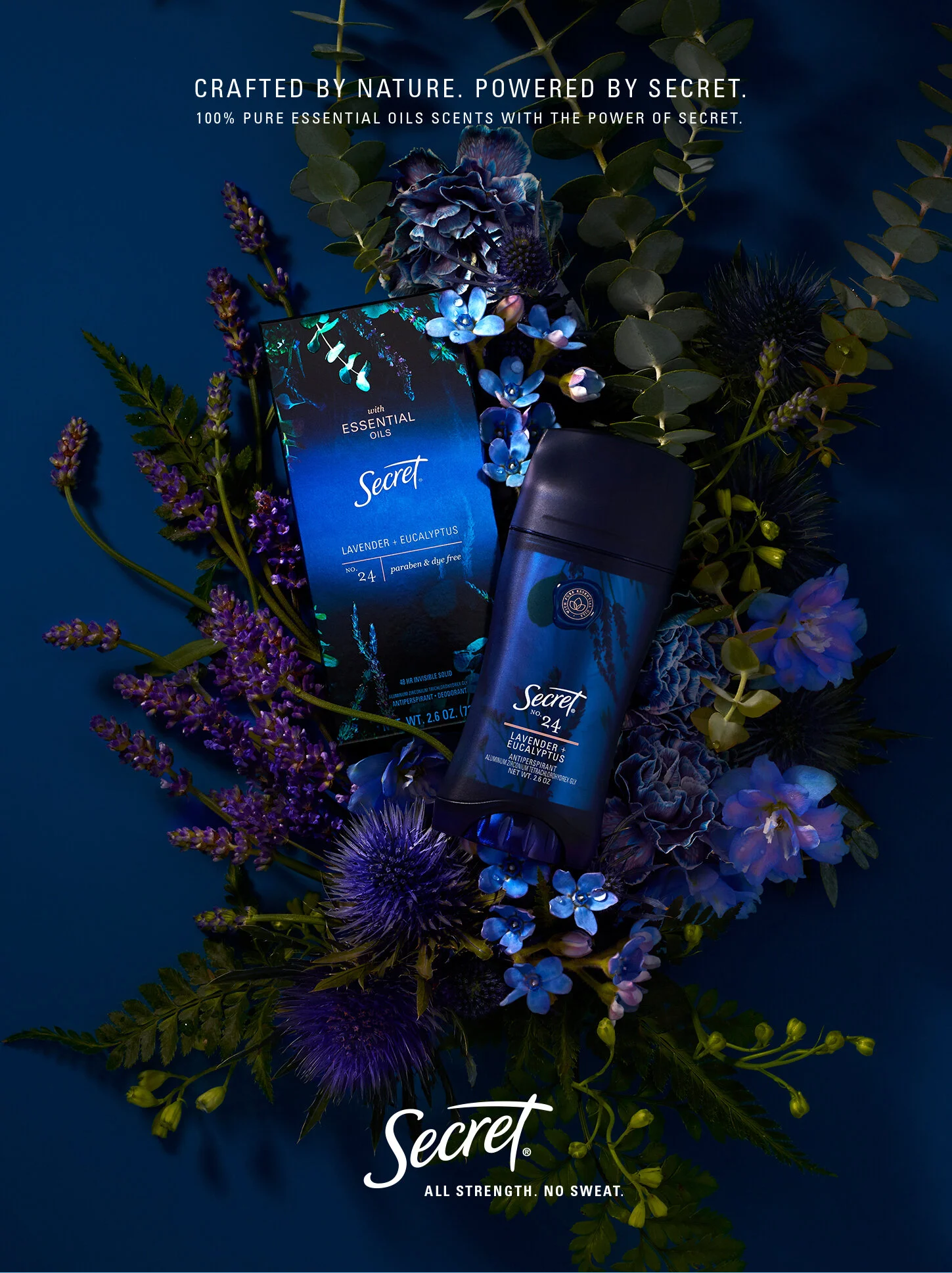 AD_Still_Life_FINAL_FULL_2_RGB copy.jpg