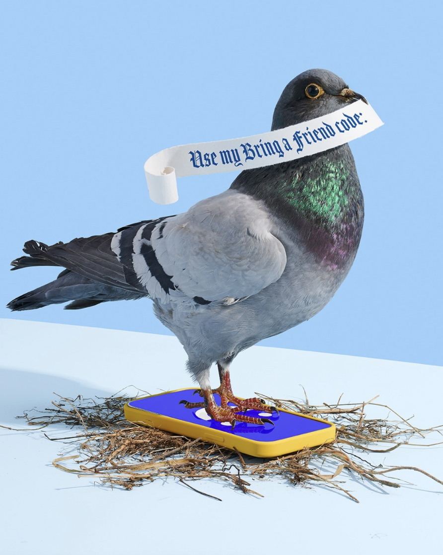 Screen Shot 2022-02-04 at 9.56.22 PM.png