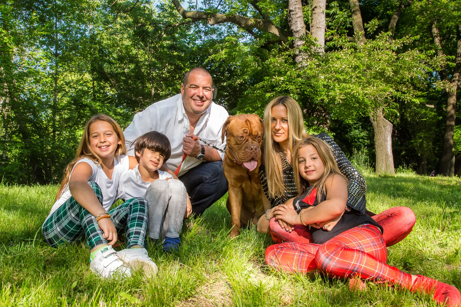 even the dog_happy family.jpg