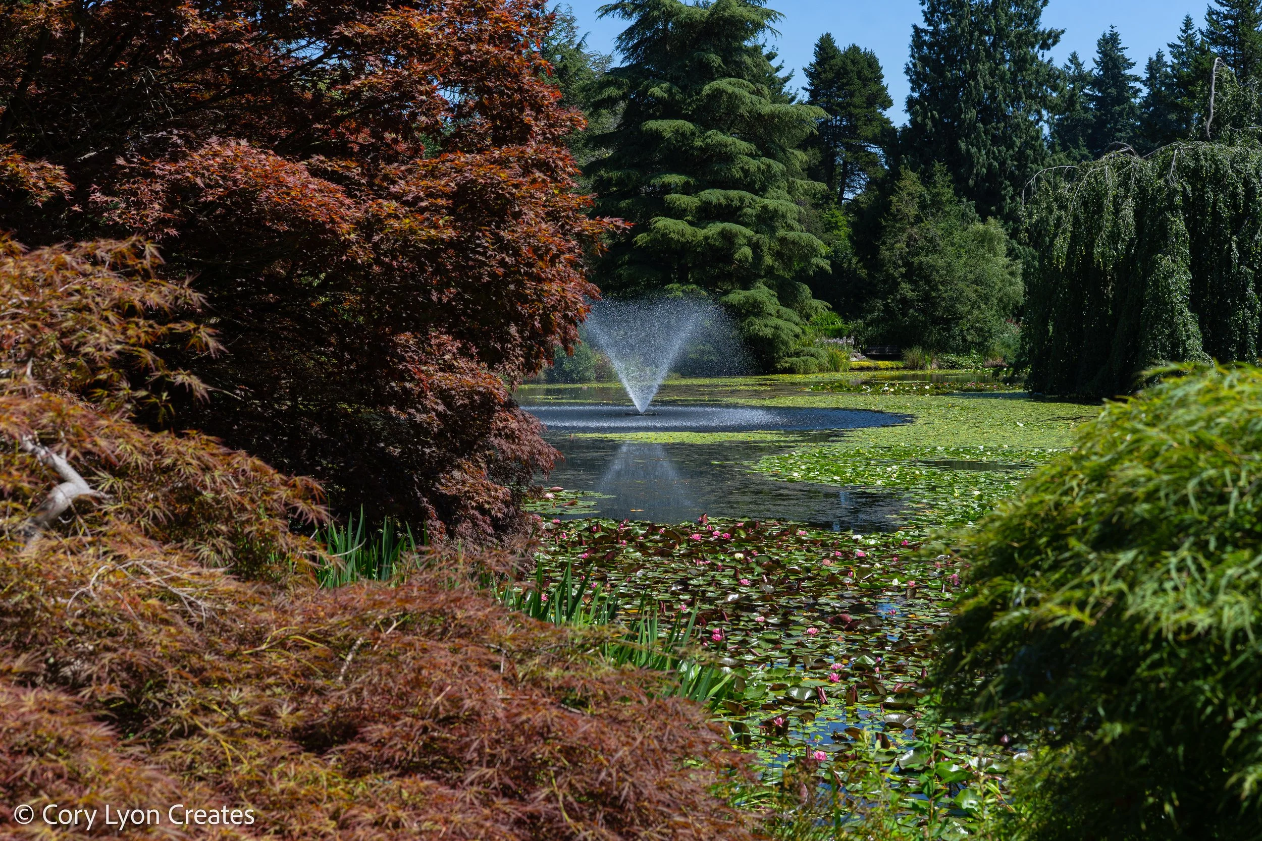 VanDusen Botanical Garden - July 05, 2021 01.jpg