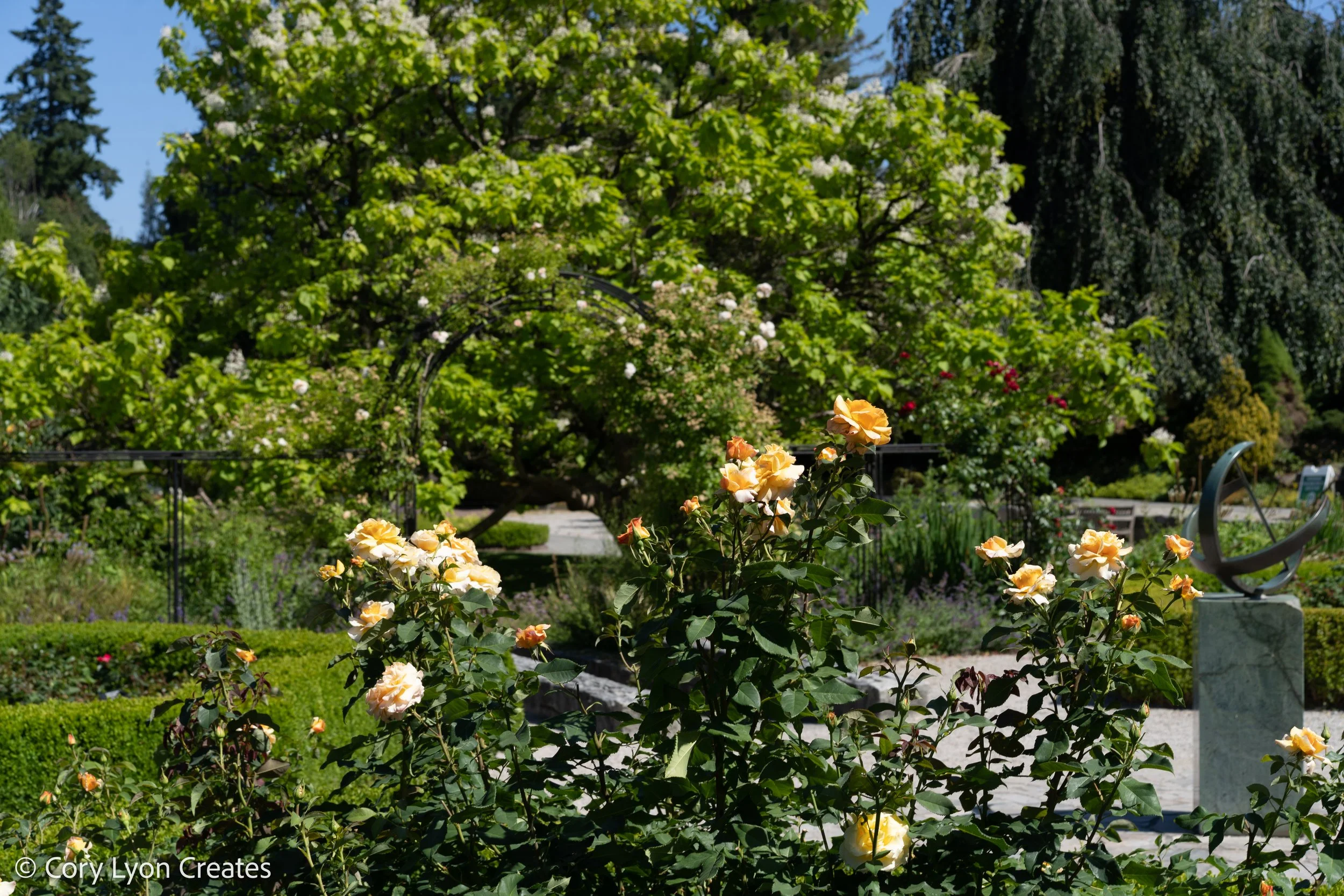 VanDusen Botanical Garden - July 05, 2021 16.jpg