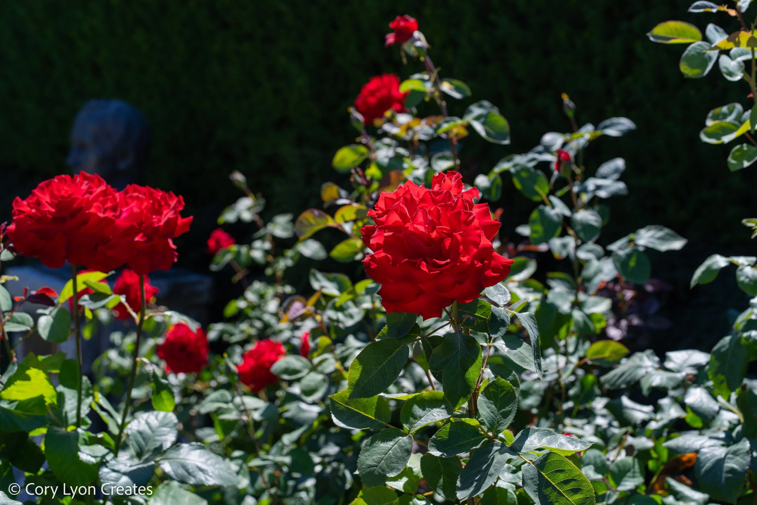 VanDusen Botanical Garden - July 05, 2021 17.jpg