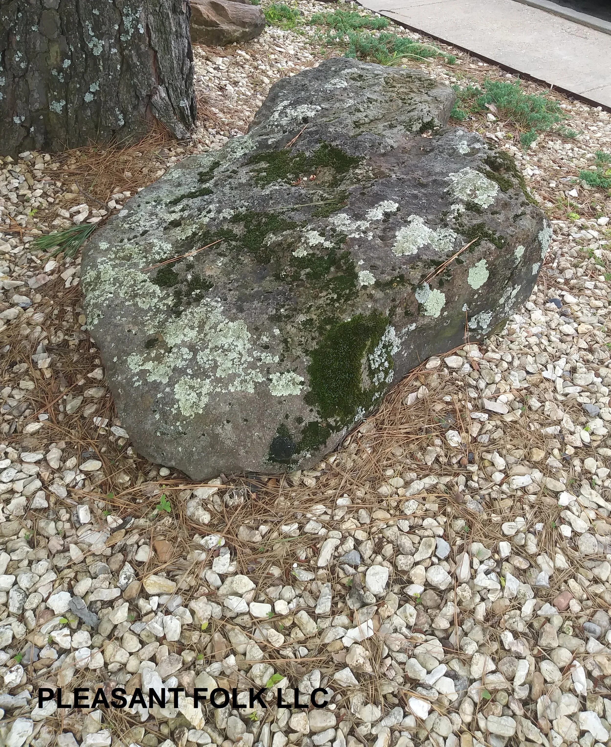 OK Sequoyah Lodge 2019 11 watermark.jpg
