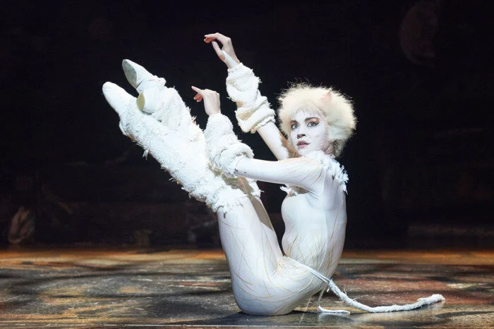 CATS Headcanon: Victoria the White Cat was Reborn from the Heviside ...
