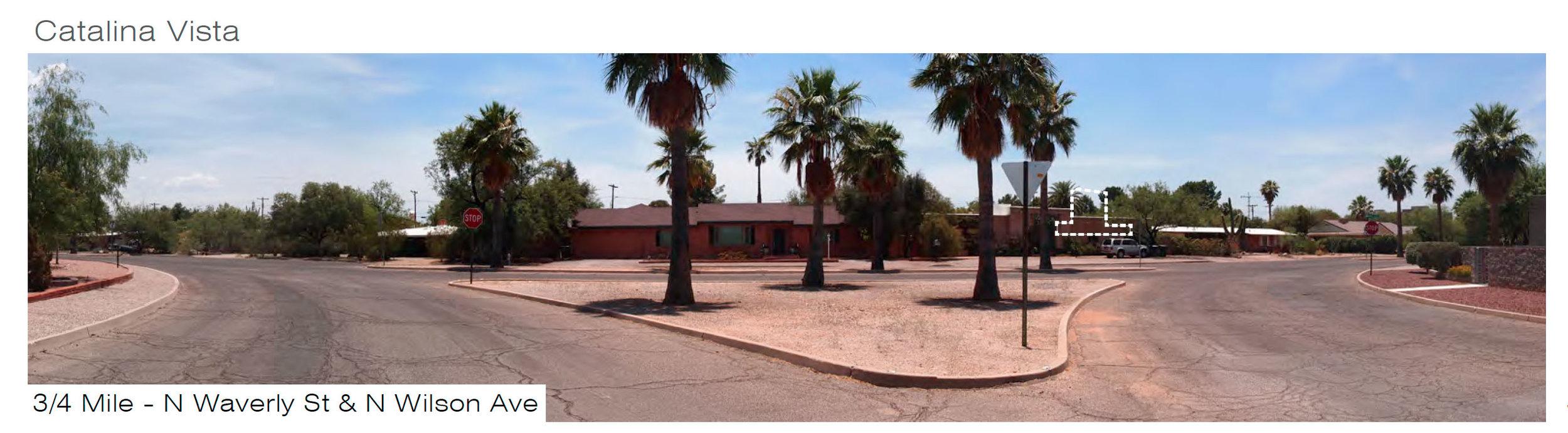 CATVISTA 1.jpg