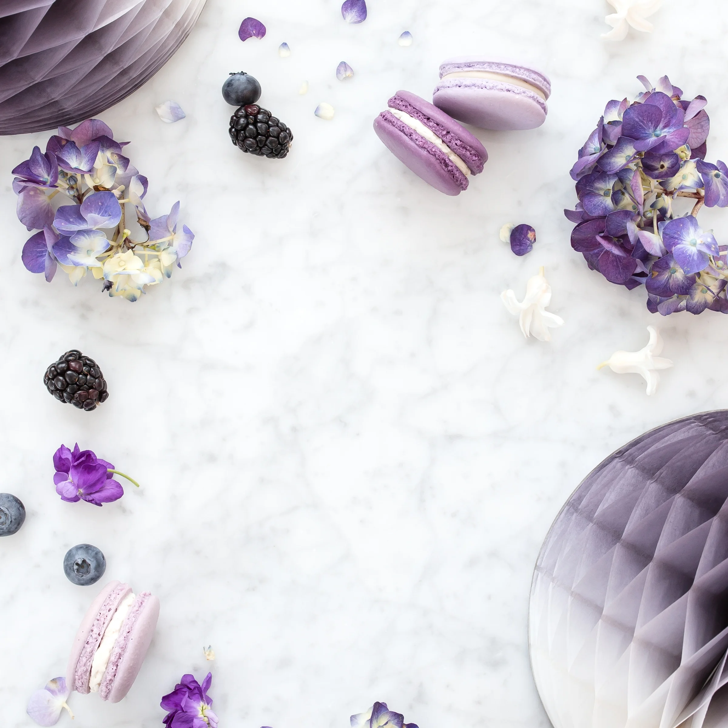 haute-stock-photography-ultra-violet-7 (1).jpg