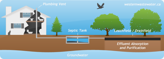 Info-resource-graphic1-1.png