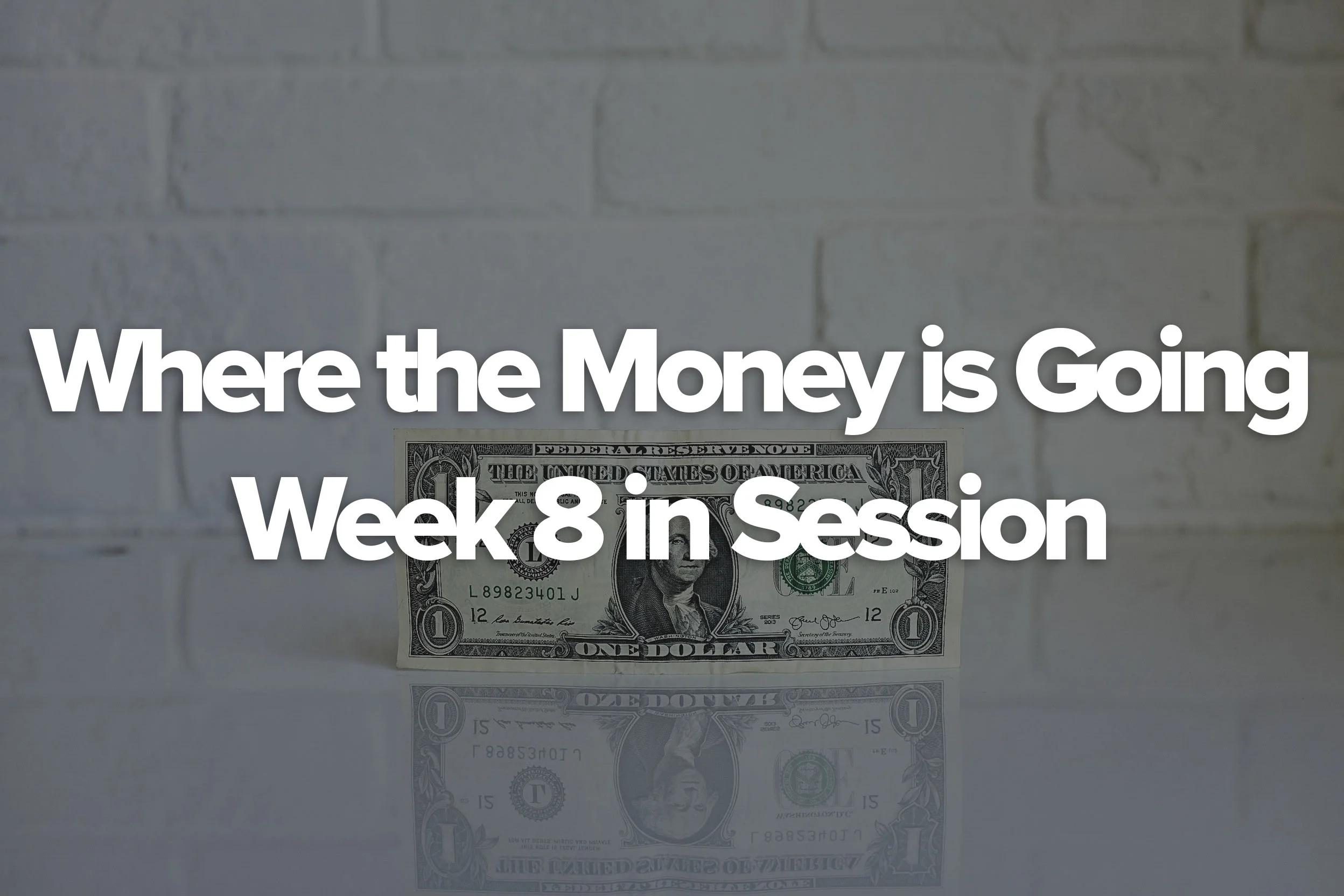 week 8 where the money is going.jpg