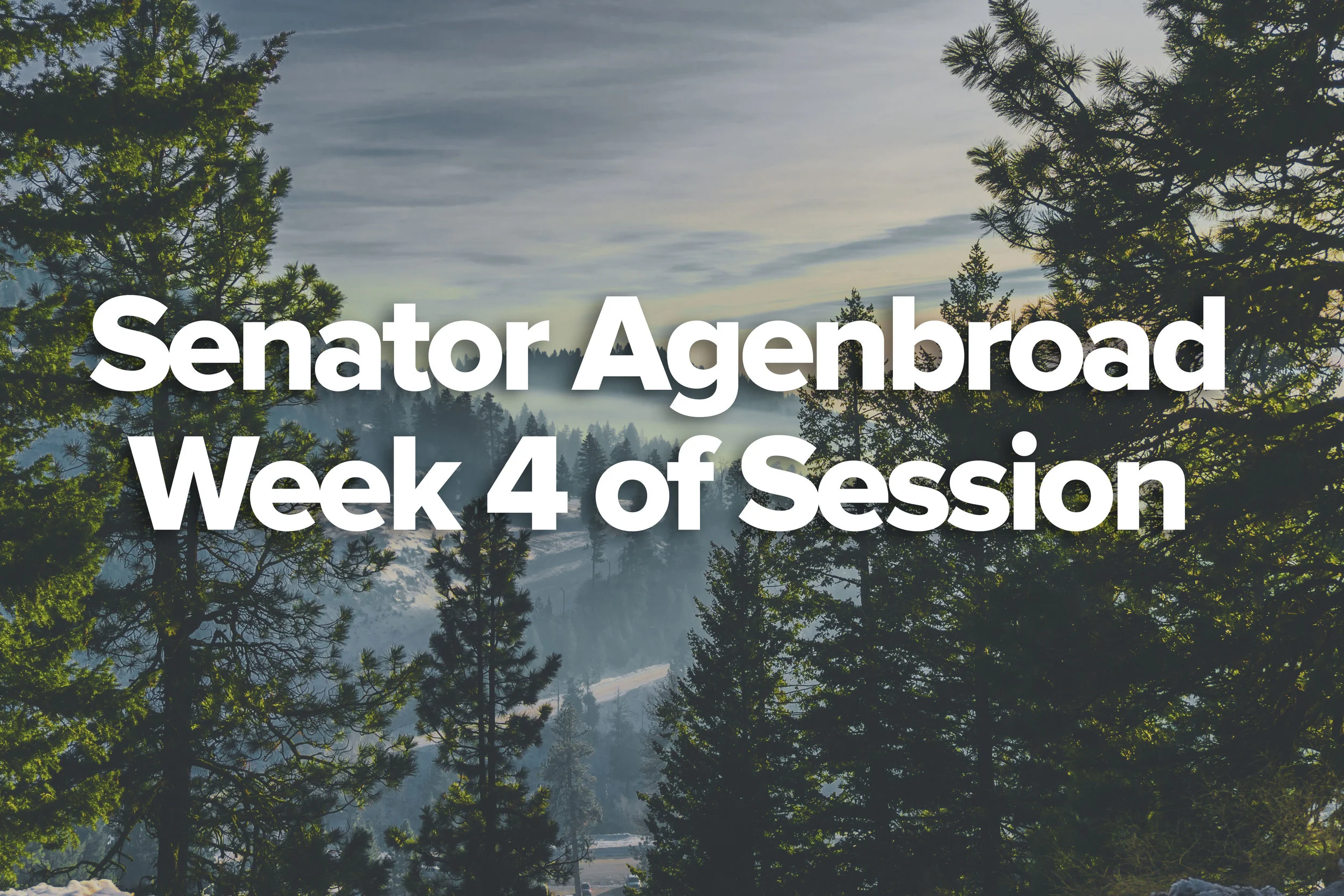 Bogus-Basin-Week-4.jpg