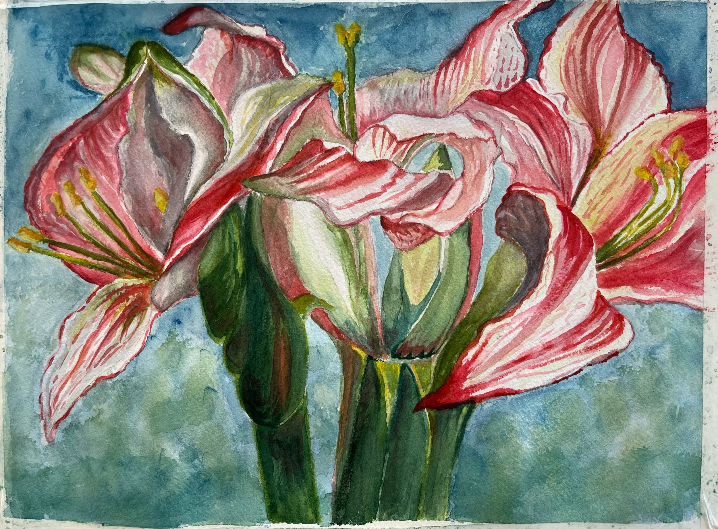 Amaryllis #2