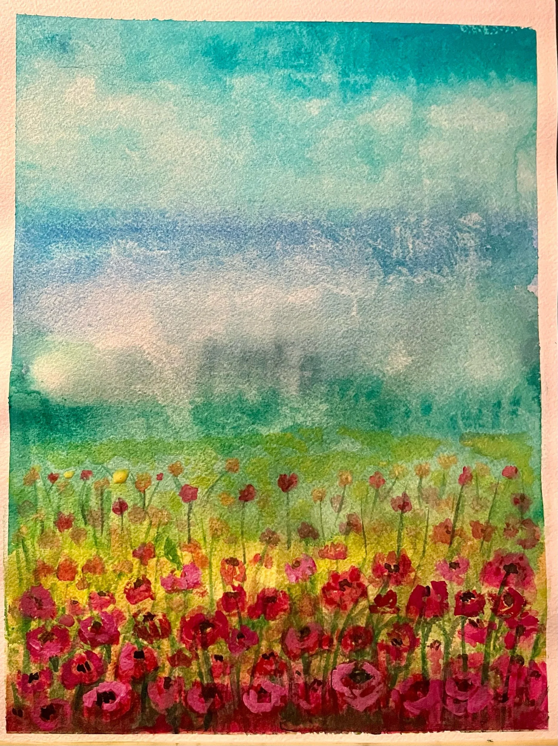 Poppies