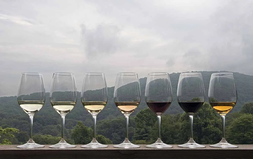 Tasting Now 2 (v.2)_0226_ko2.jpg