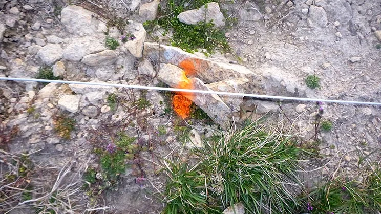An orange dot marks where the vine will go (every three feet).
