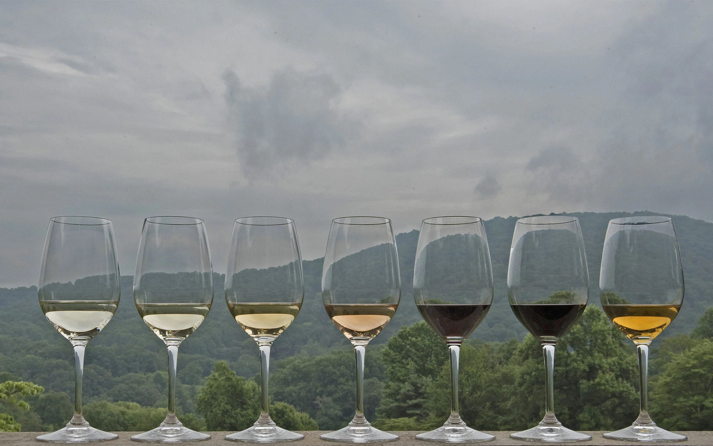 Tasting Now 2_0226_KO1.jpg