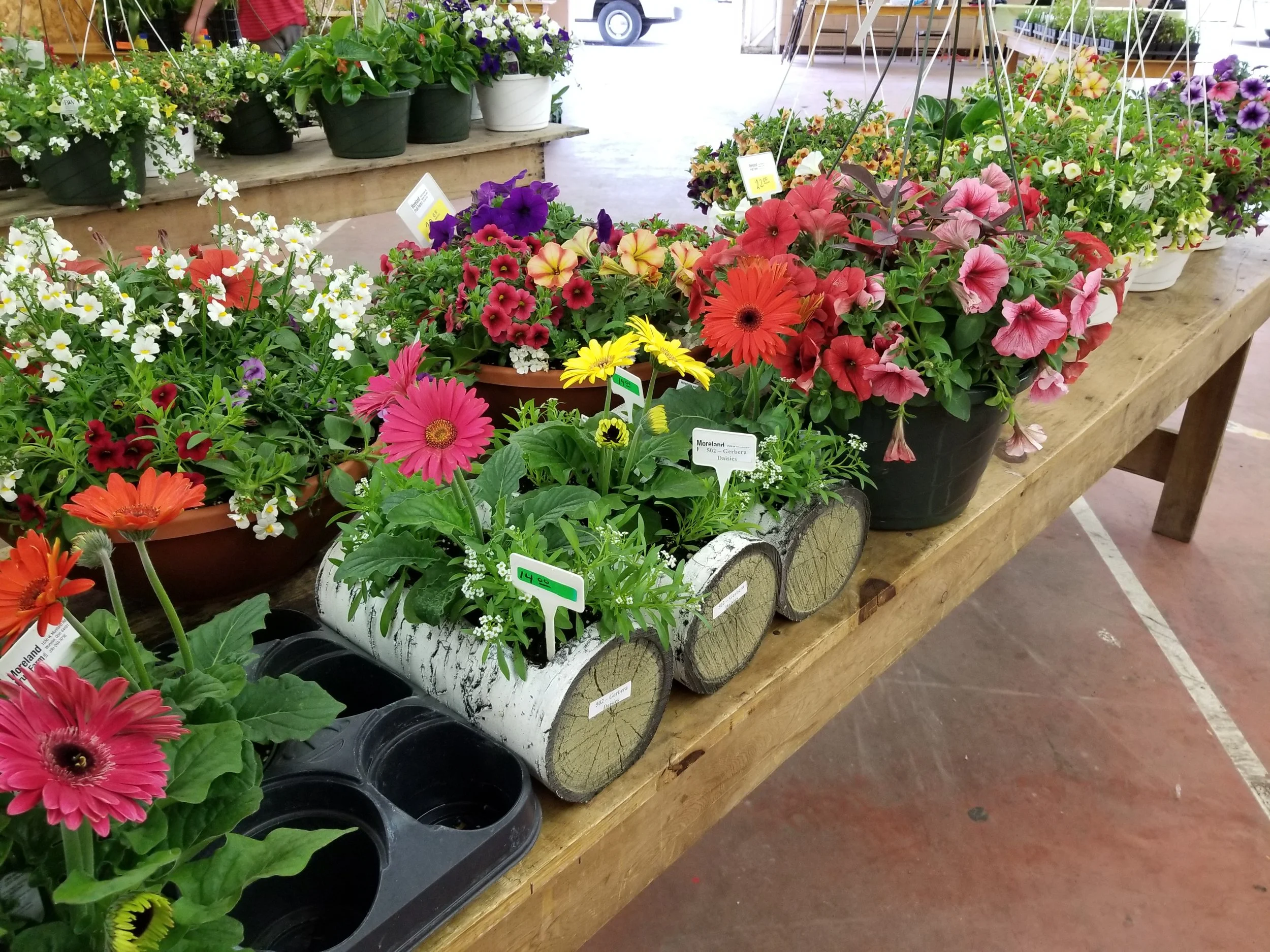 20170428_160240.jpg