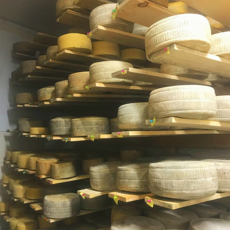 Cadwell's Cheese House, 5392 E Lake Rd, Dewittville, NY, Cheese - MapQuest