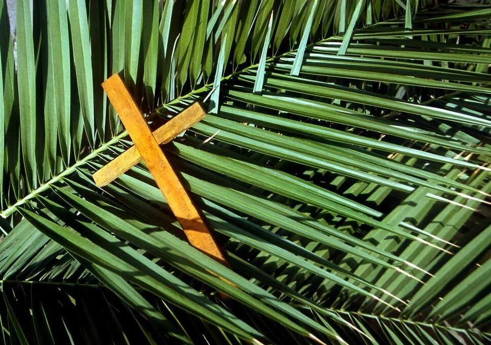 Holy Week: Palm Sunday