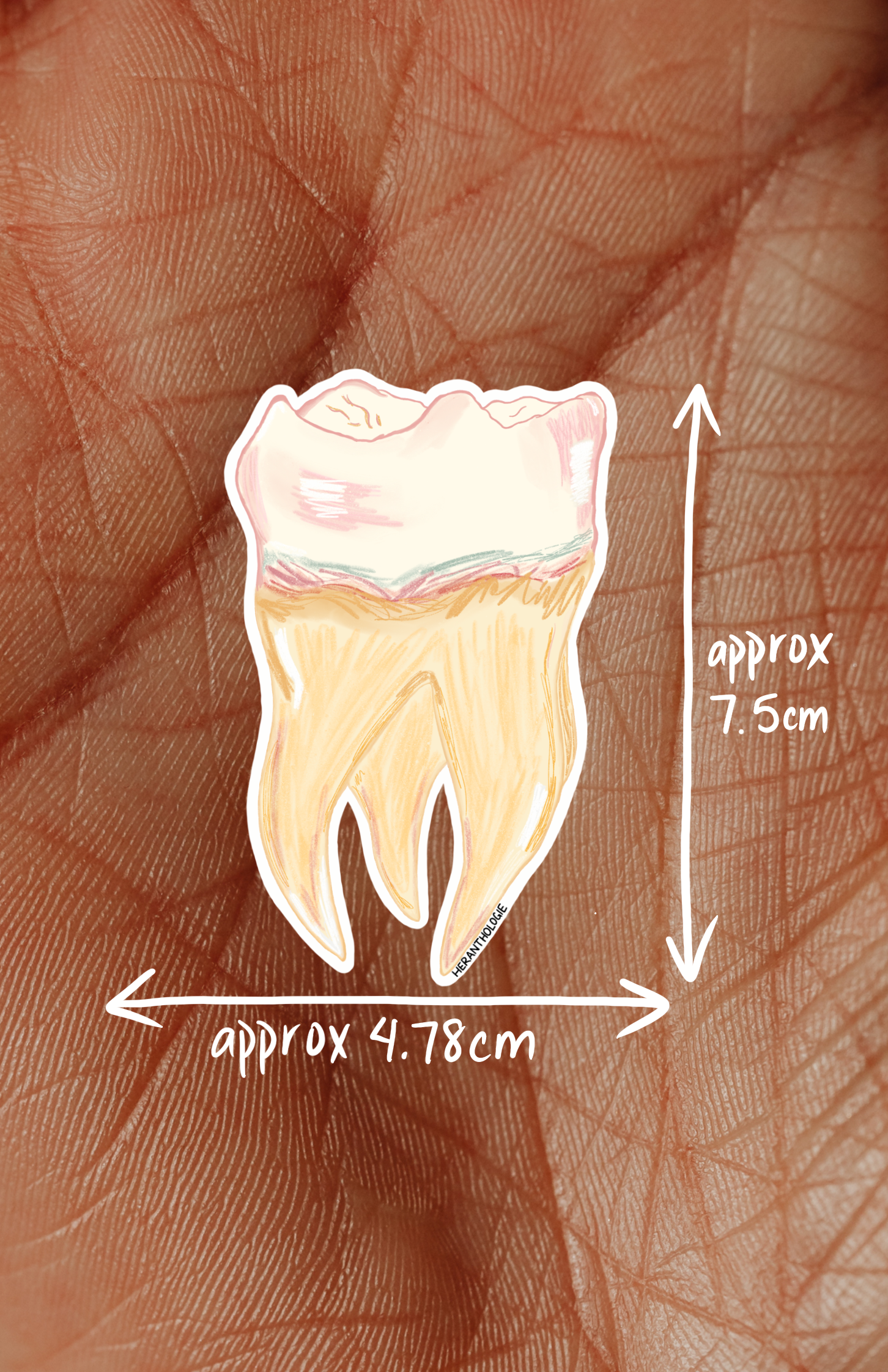 Tooth sticker shop update.png