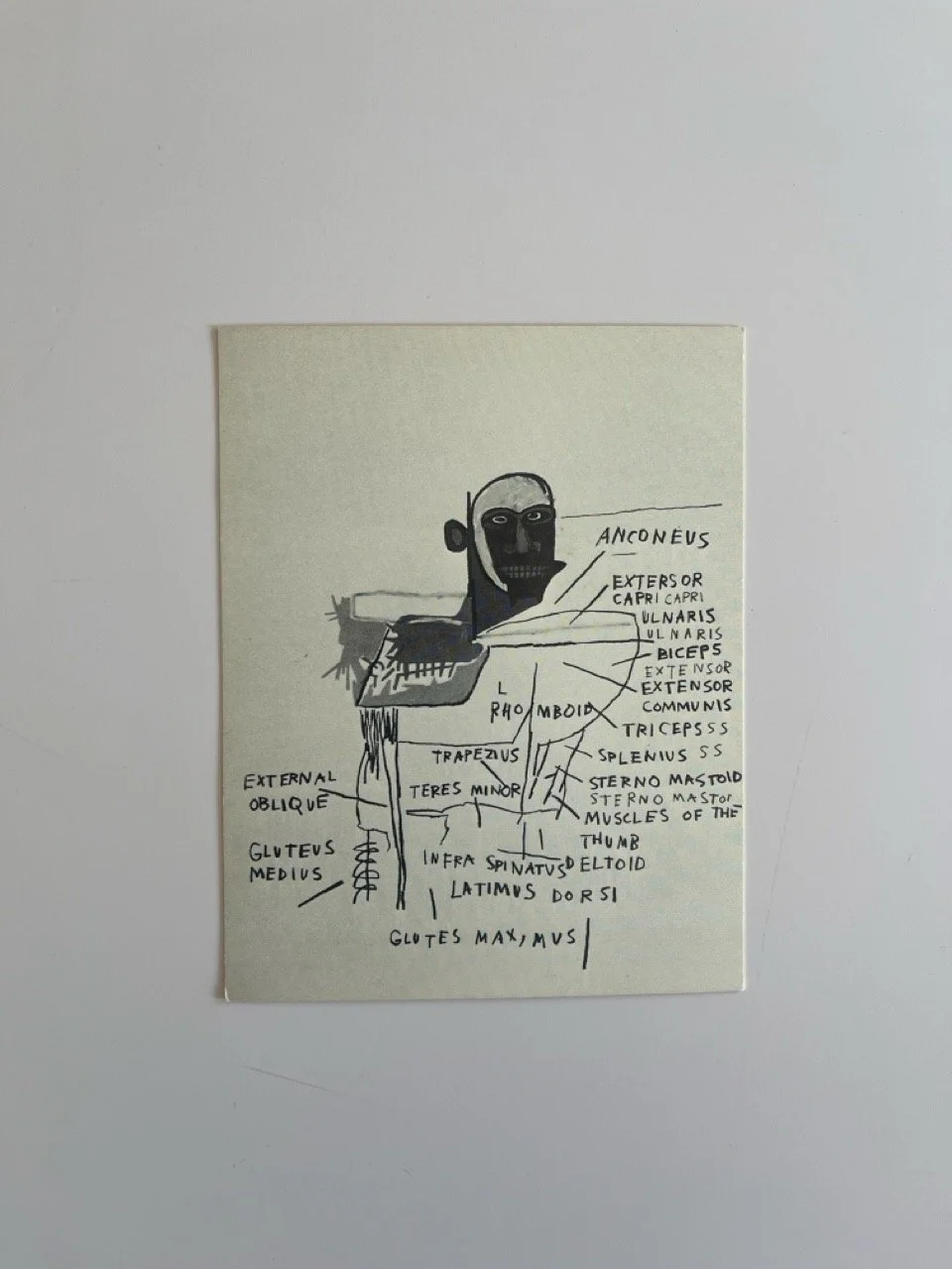 Basquiat card 1.jpeg