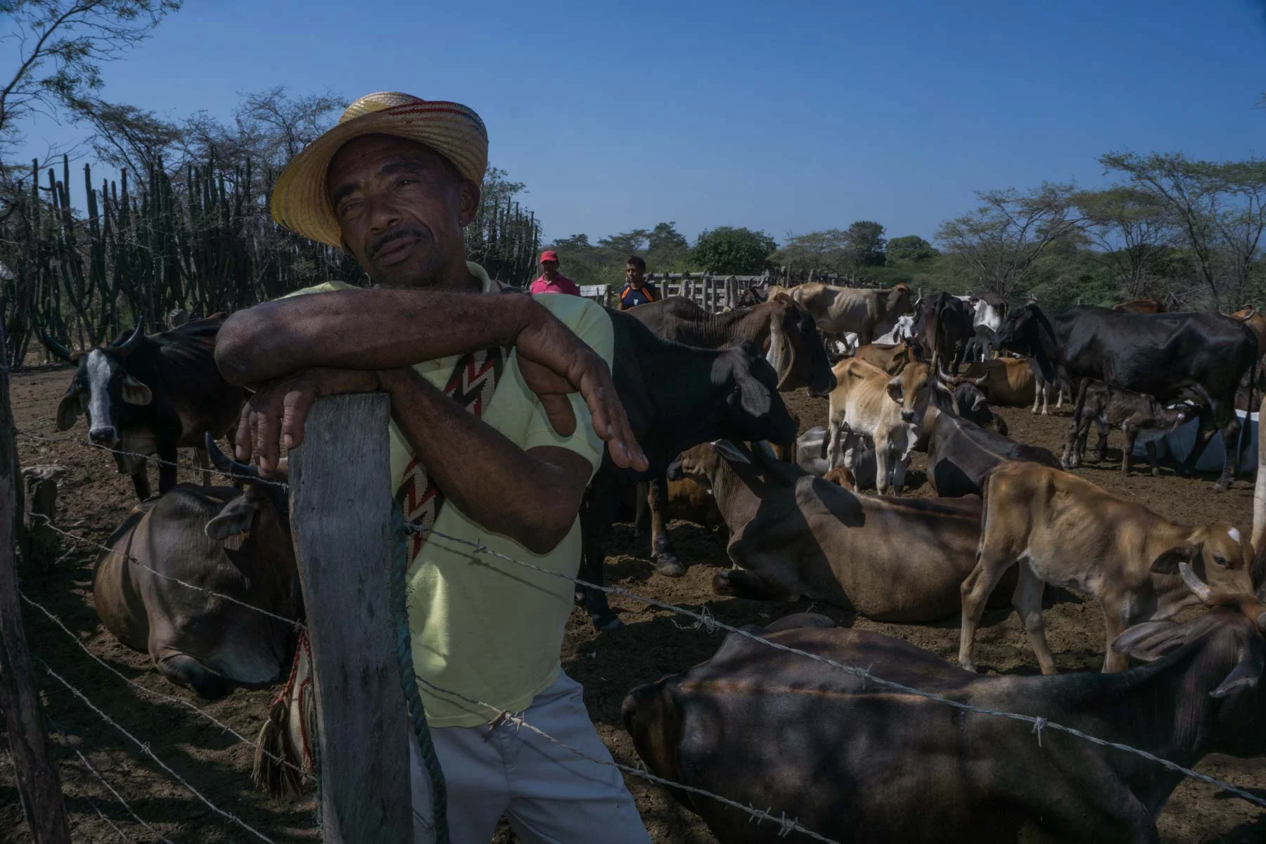 Men rest after corraling their cattle in the town of Chancleta. Here community members raise cattle in order to feed their families and sell the various bi-products of their animals. These cattle farmers are in resistance to the El Cerrajon mine which threatens to displace their community and devastate their livelihood. 