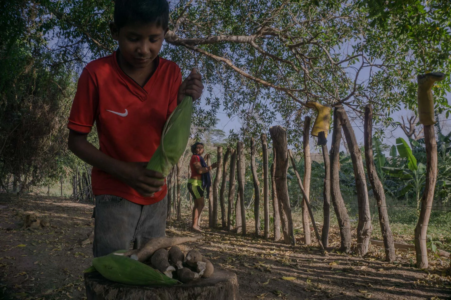 Mother and son collect yuka and corn from the Provincial community’s plot. Yuka and Corn are basic to the local diet and the communities raise their own crop in order to maintain food sovereignty.