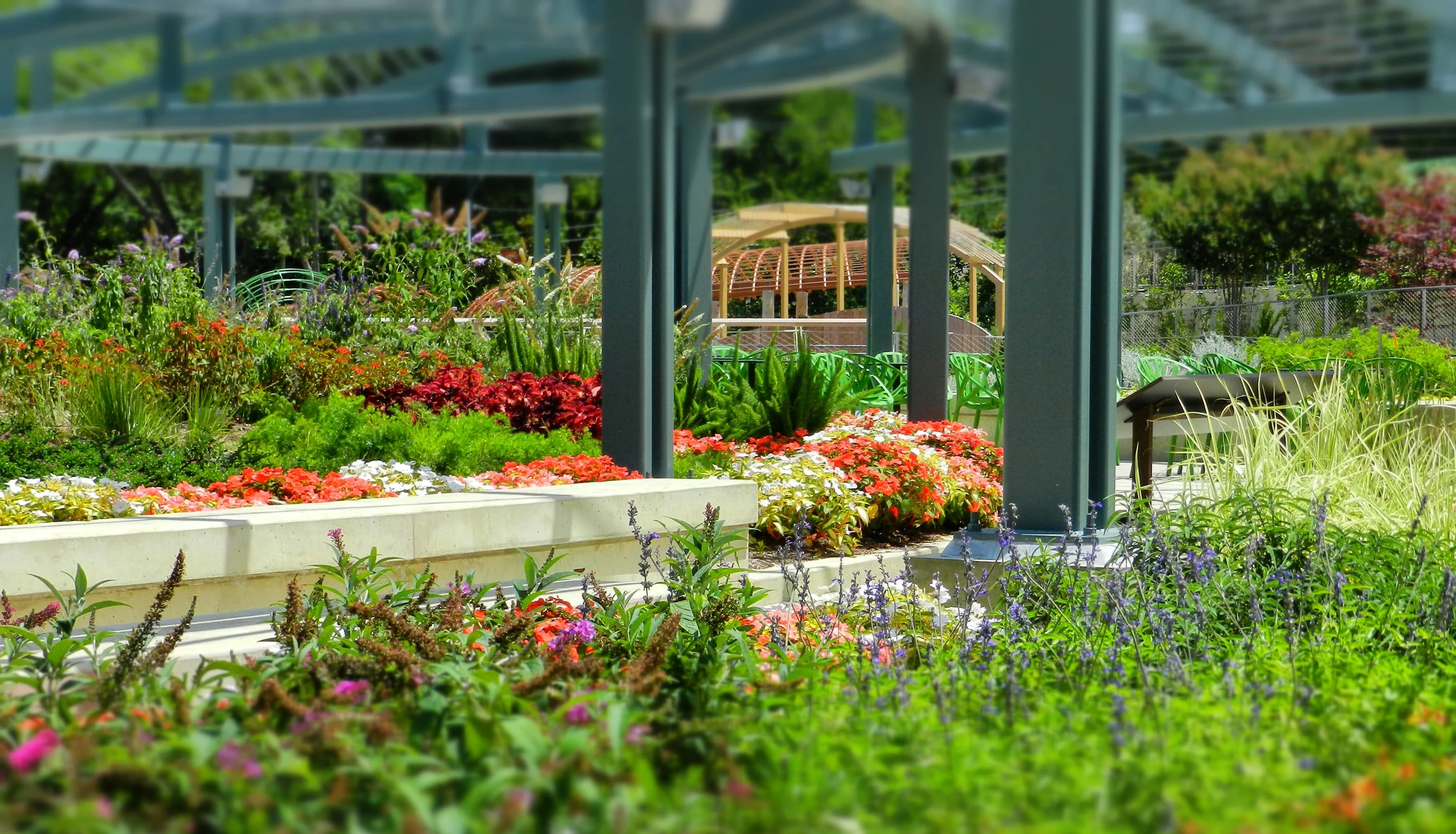 The Oasis (rooftop garden).jpg