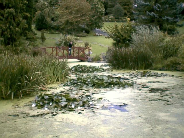 Avenham_Park_Preston_Lancashire.jpg