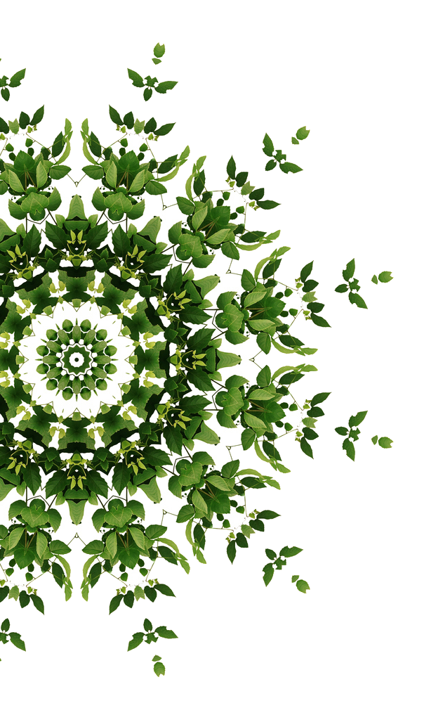 transparent partial mandala cropped.png