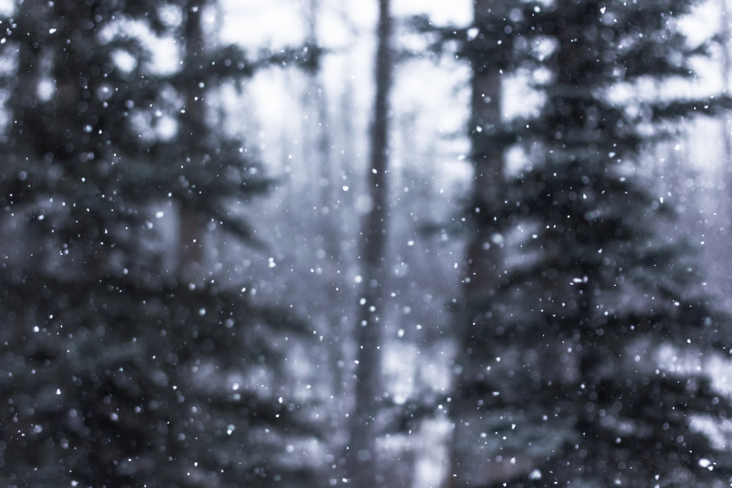 'Tis the friggin' season.