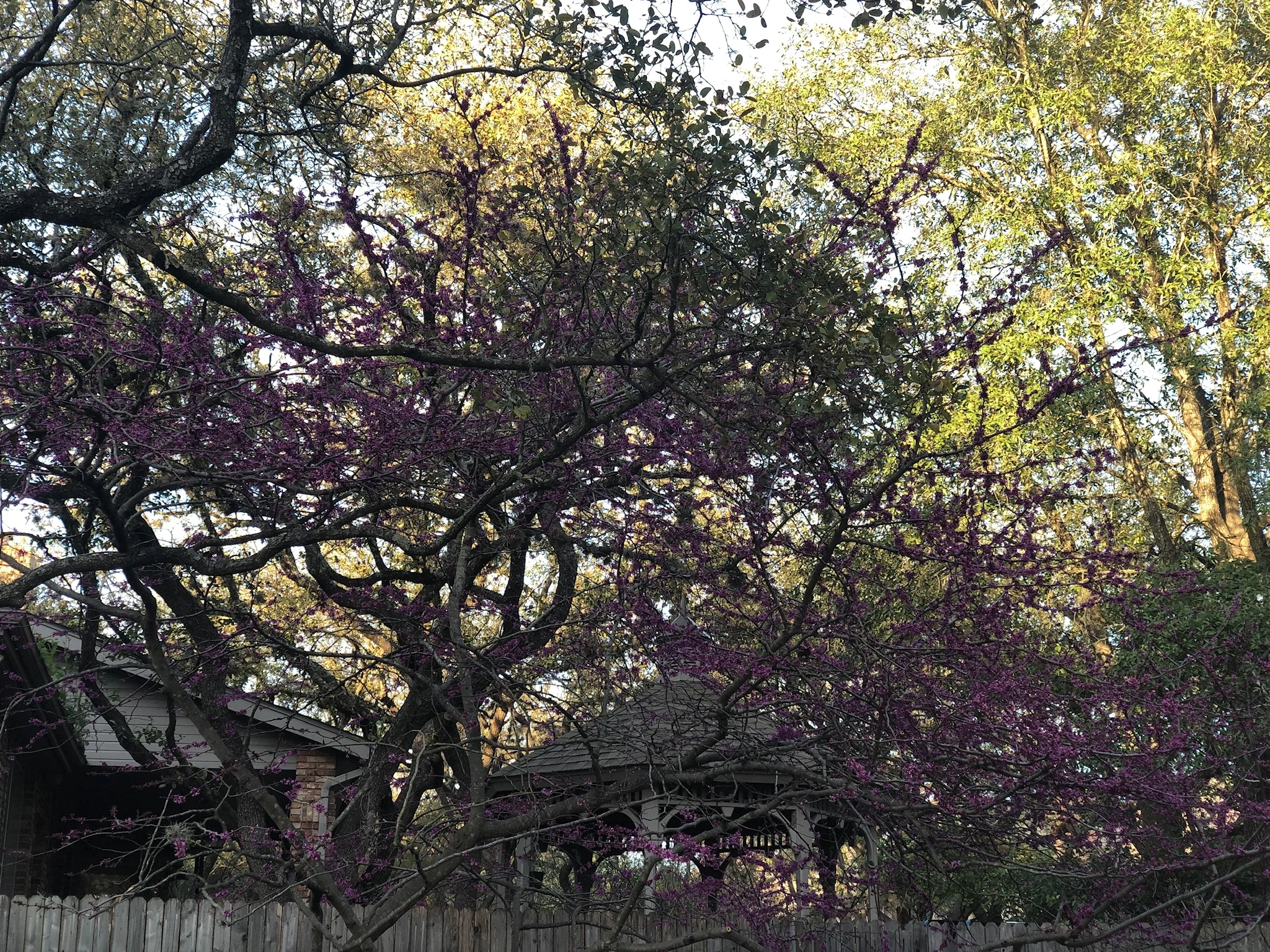 The New Inwood Web Site is Here!