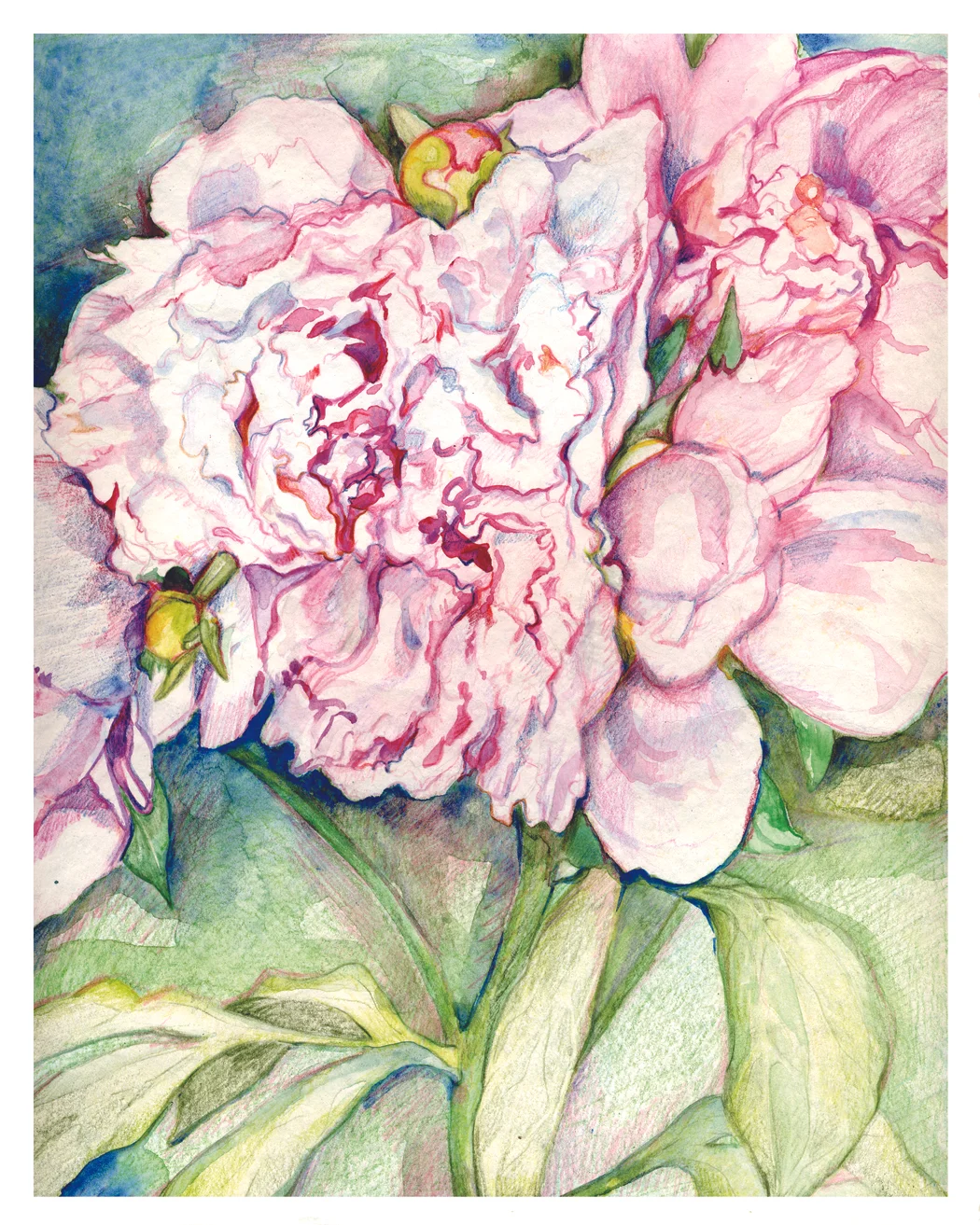 peony.jpg