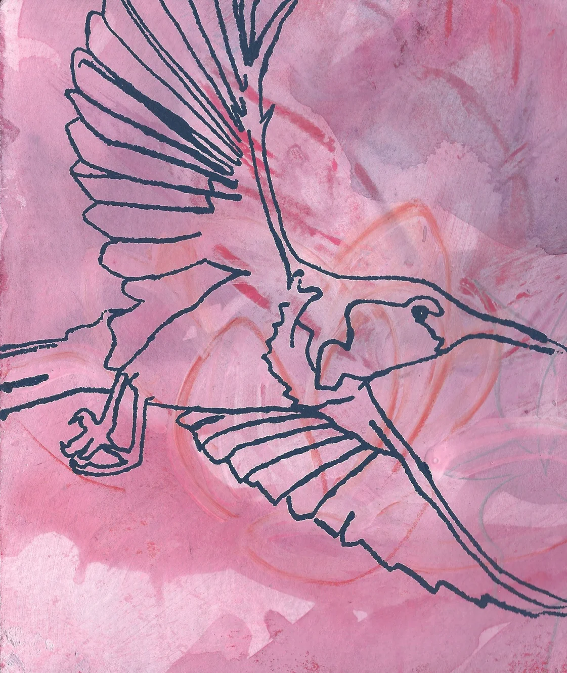 hummingbirdweb.jpg