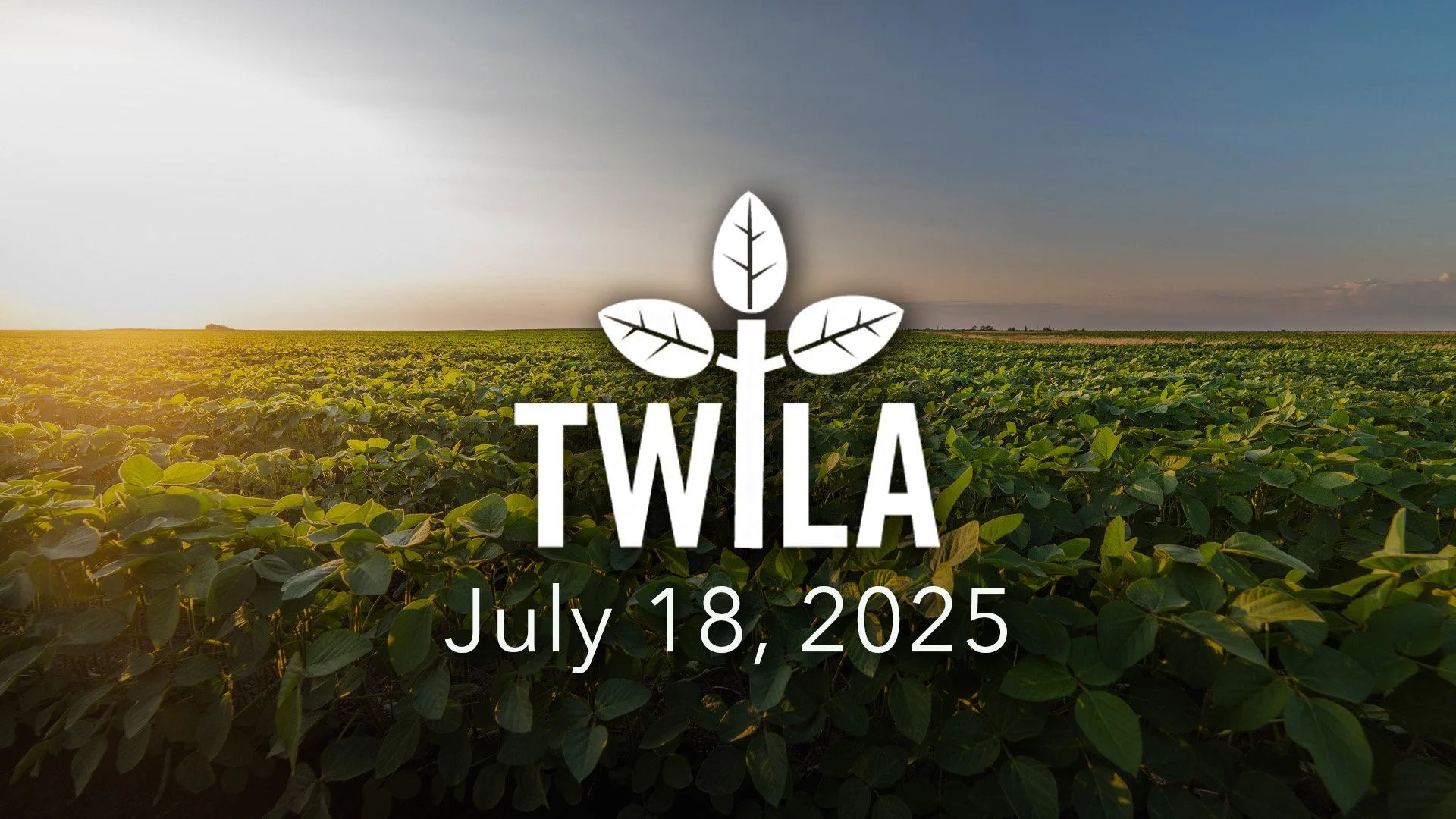TWILA : July 18, 2025
