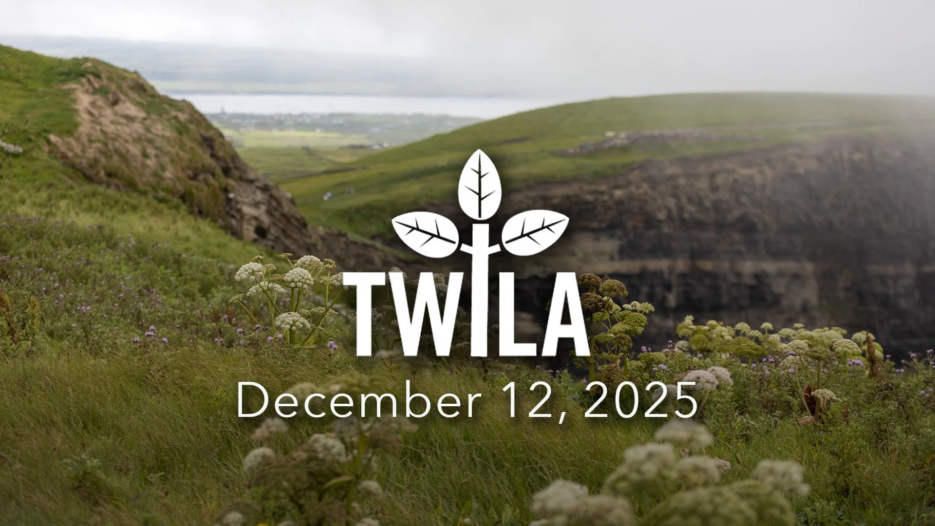 TWILA : December 12, 2025