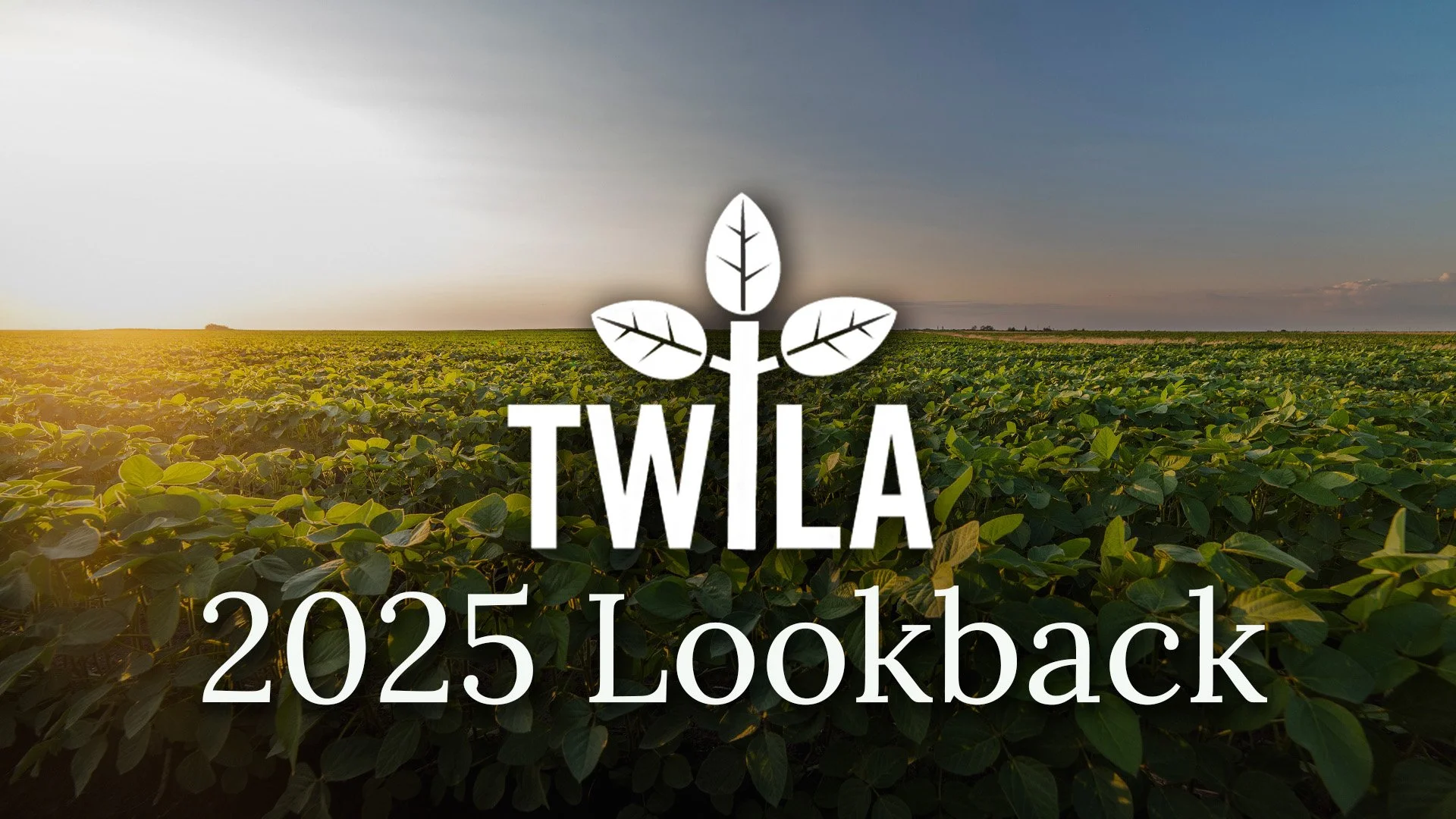TWILA : December 19, 2025