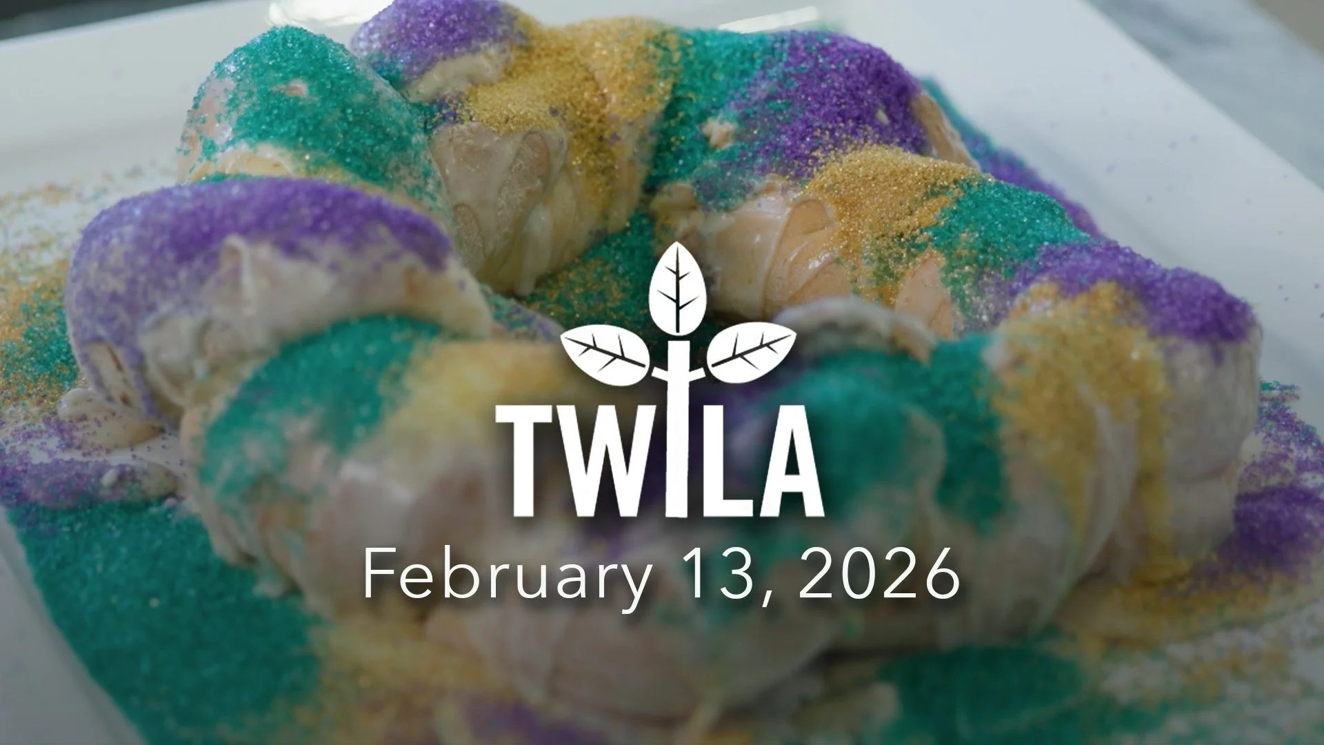 TWILA : February 13, 2026
