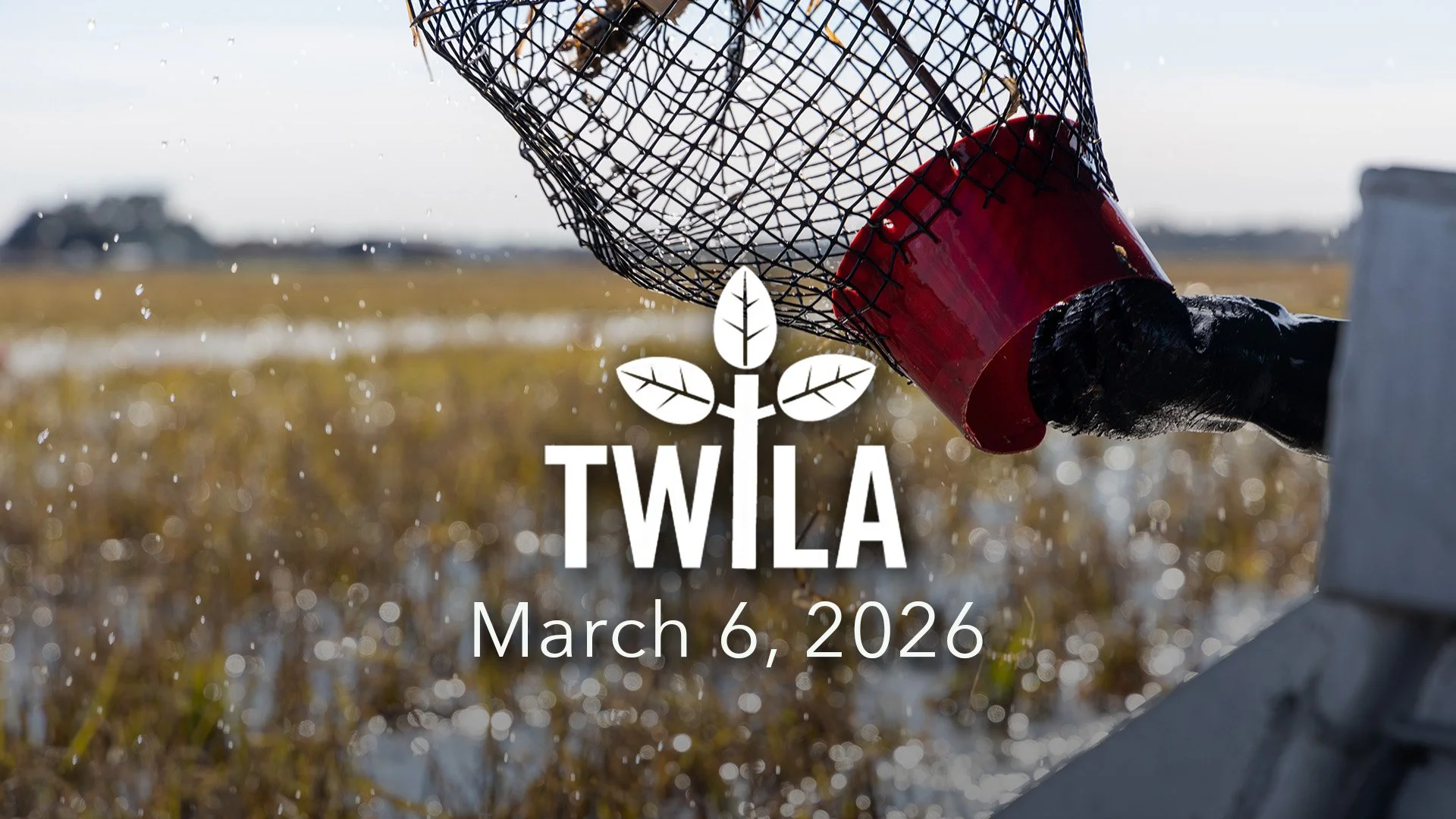 TWILA : March 6, 2026