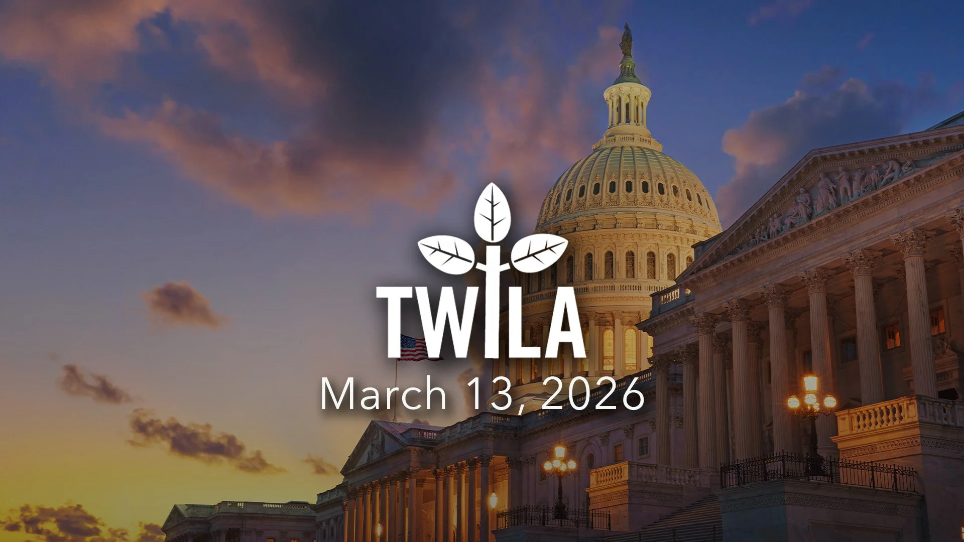TWILA : March 13, 2026