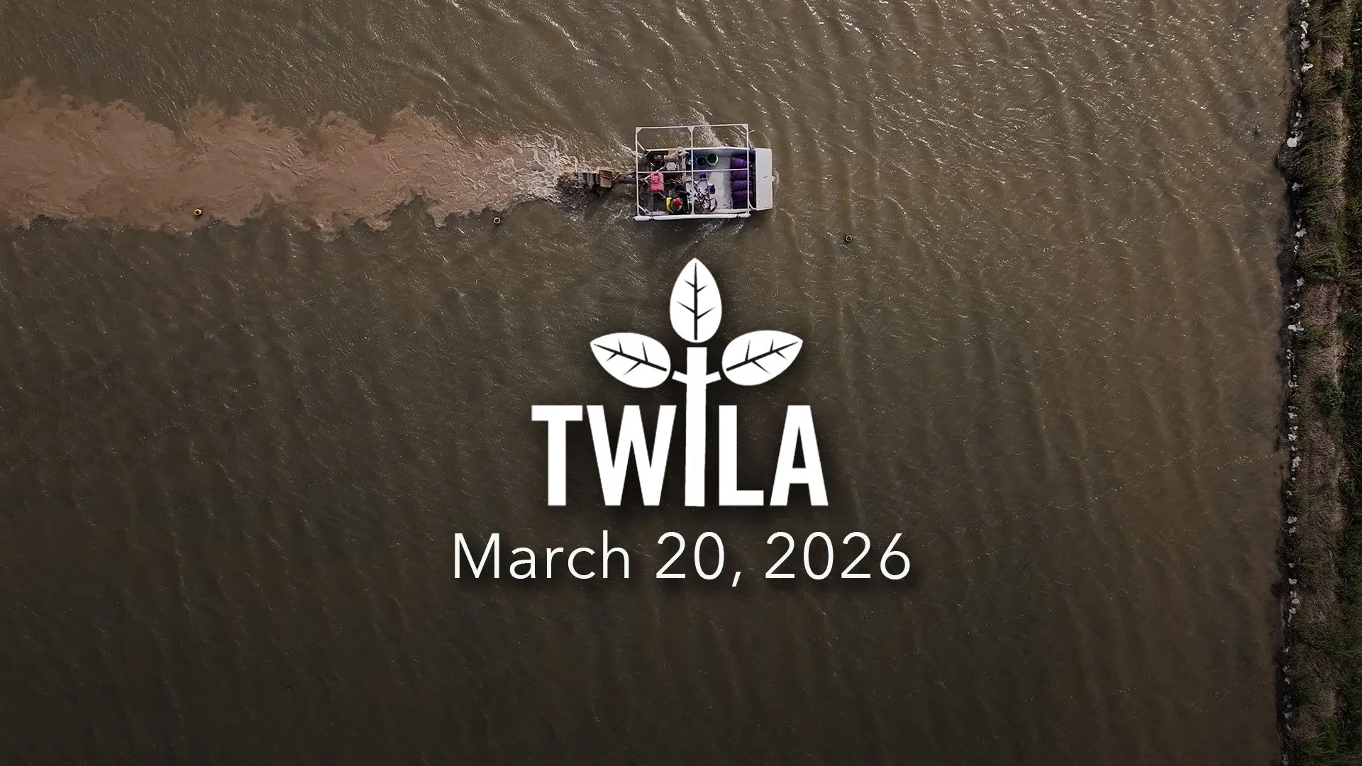 TWILA : March 20, 2026 