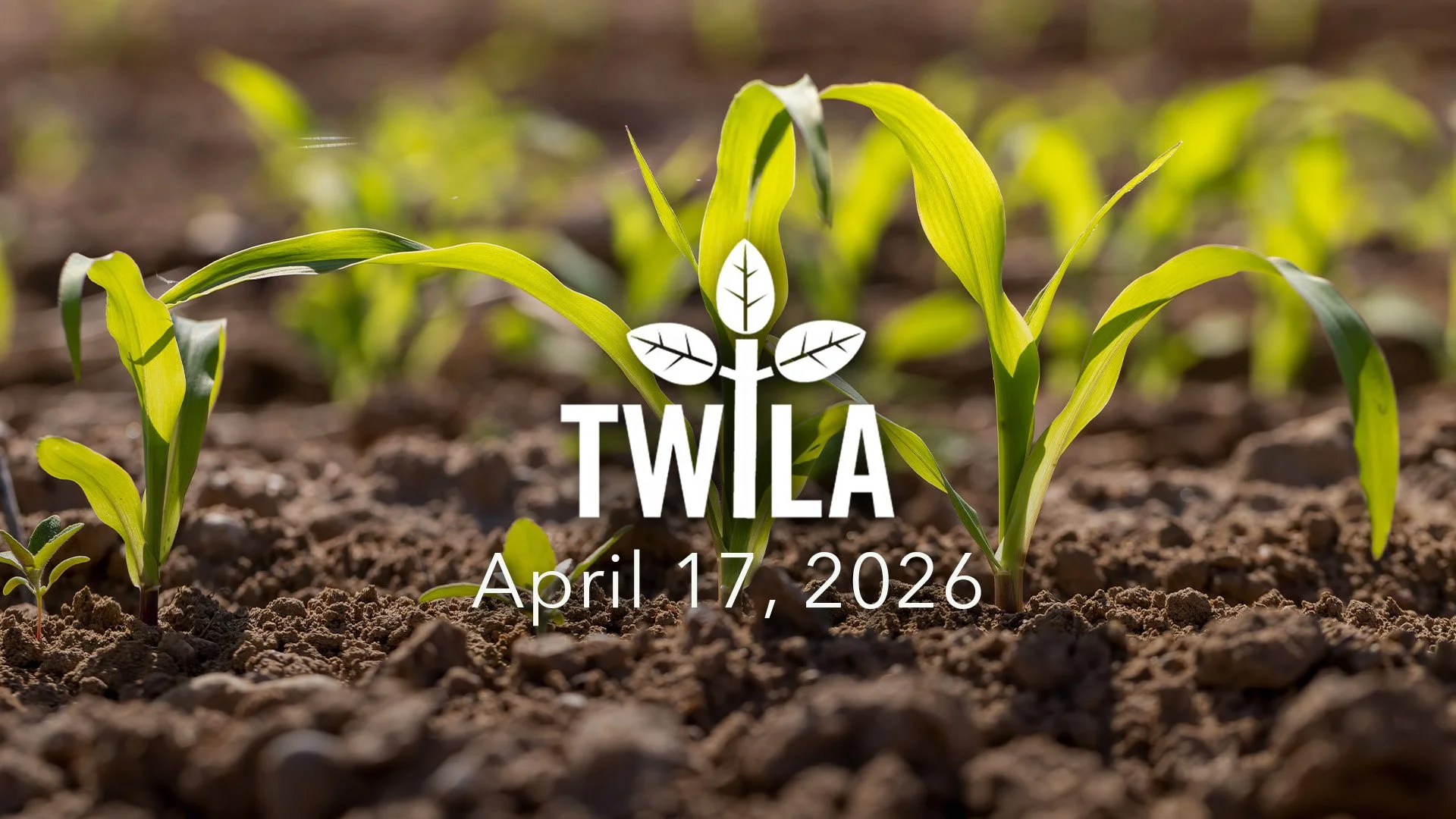 TWILA : April 17, 2026