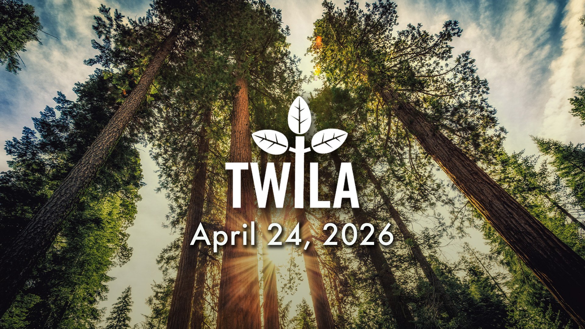 TWILA : April 24, 2026 