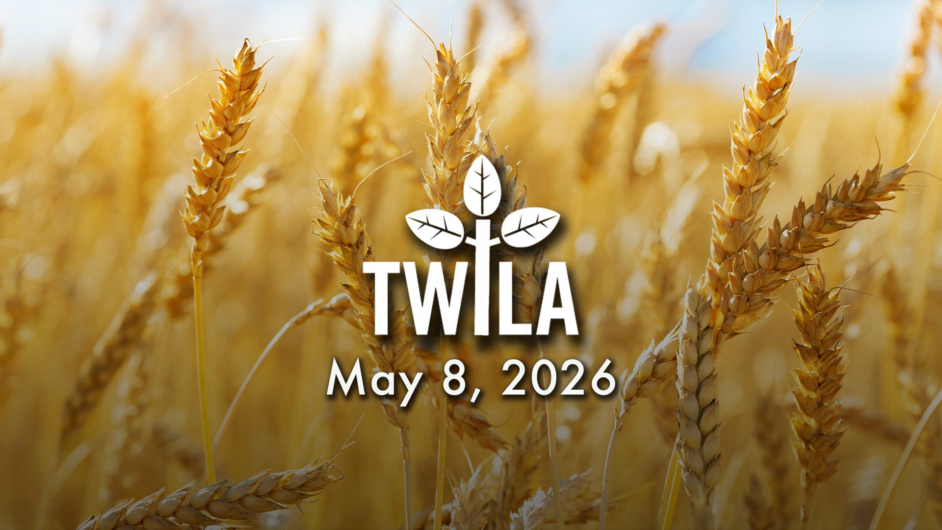 TWILA : May 8, 2026