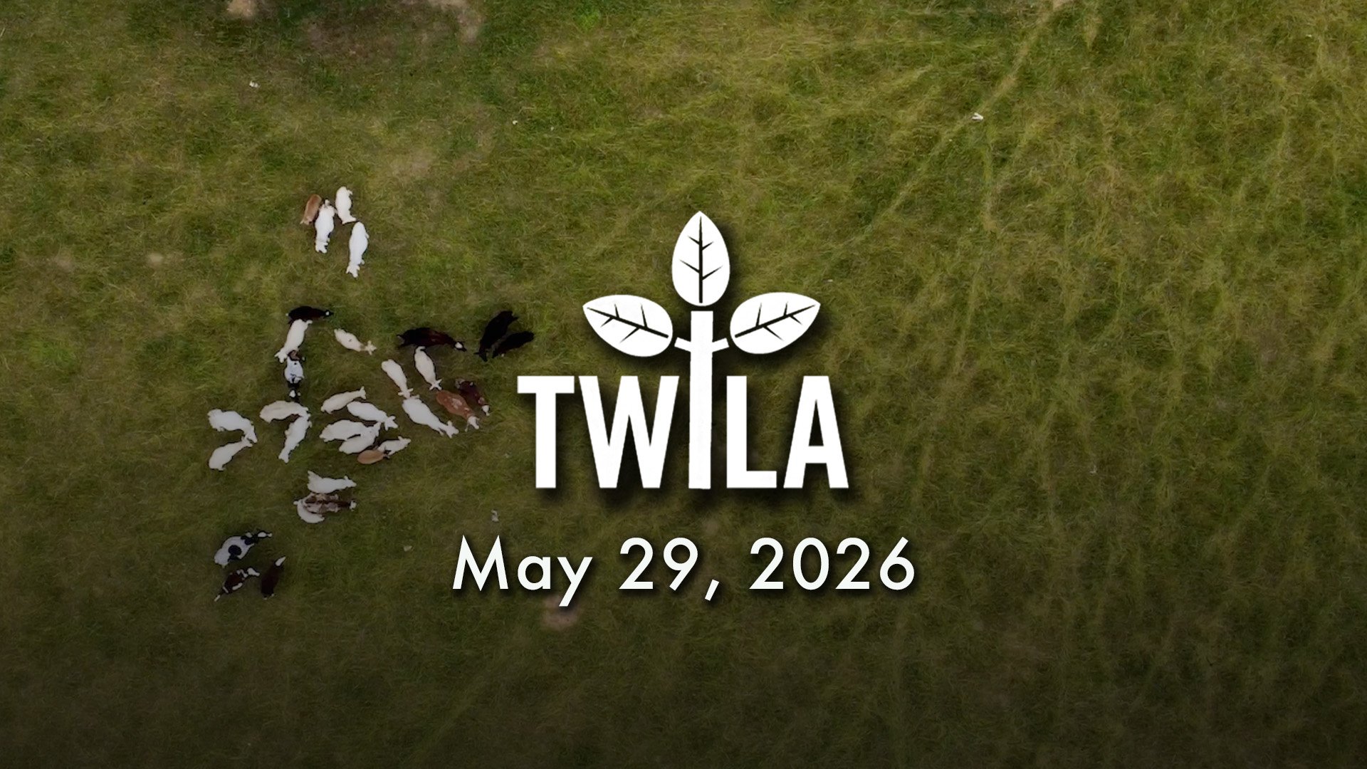TWILA : May 29, 2026