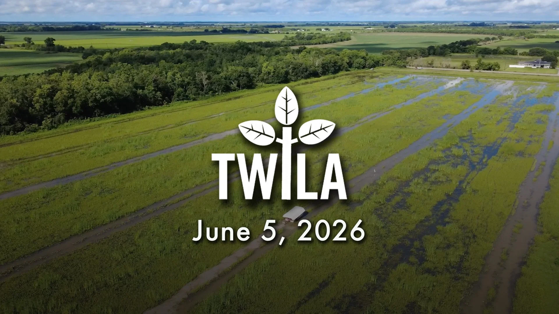 TWILA : June 5, 2026 