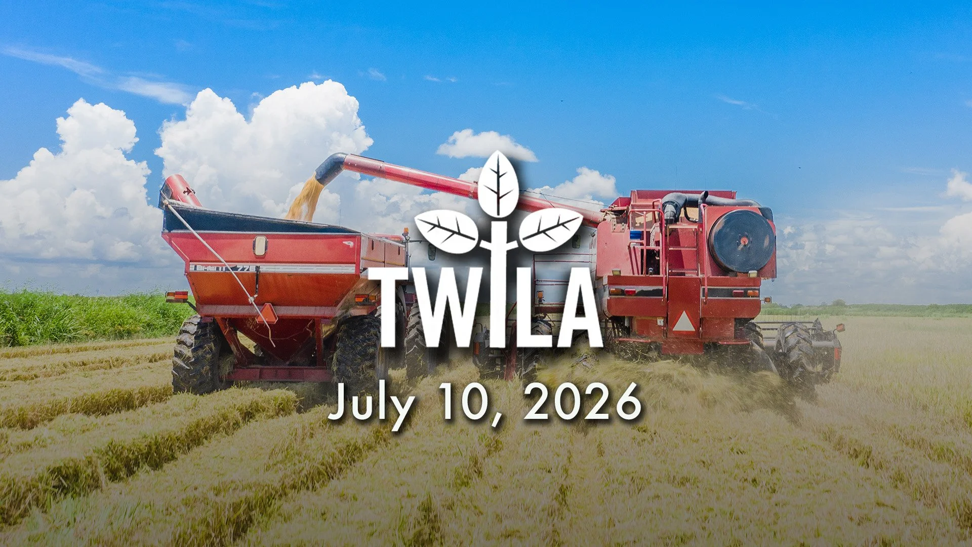 TWILA:  July 10, 2026