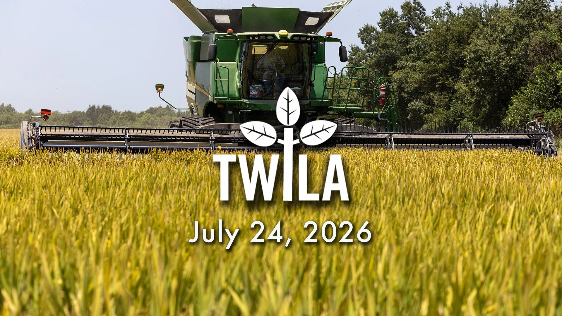 TWILA: July 24, 2026