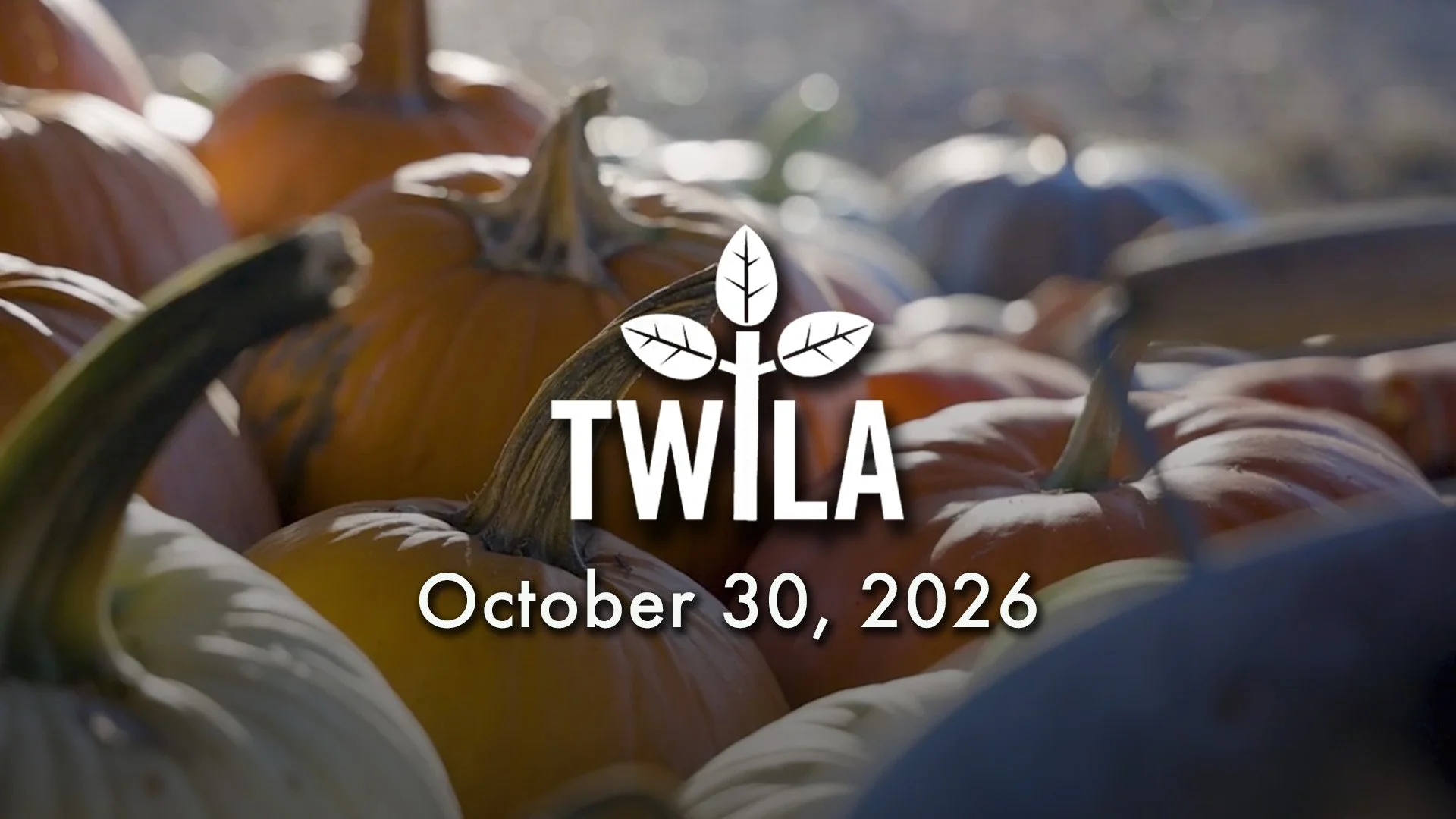 TWILA: October 30, 2026